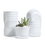 T4U 4 Inch Plastic Planters with Saucers Set of 10, Small White Plant Pots with Multiple Drainage Holes, Indoor Seeding Nursery Pots, Modern Decorative Pots for Succulent Cactus Herb African Violet