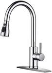 FORIOUS Kitchen Faucet with Pull Do