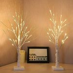 2-Pack 2FT Lighted Birch Tree with 