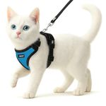 Buraq No Pull Cat Harness with Leash, Escape Proof, Ultra-Light Weight, Air Mesh Fabric, Aesthetic Design Adjustable Cat Leash with Harness (S - Blue)