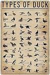 Duck Knowledge Metal Poster Type Of