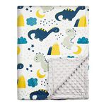 Soarwg Kids Baby Blankets Unisex Newborn, Dinosaur Baby Stuff, Super Soft Comfy Blankets, for Toddler Baby Nursery Bed Animals Dinosaurs Blanket Stroller Crib Shower Gifts 30 x 40 Inch