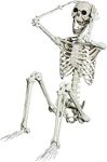 AOFOX 165 cm Halloween Life Size Skeleton Full Body Human Bones with Movable Joints for Party Prop Scary Graveyard Haunted House Lawn Yard Decor (165cm-update-White)