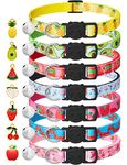 Cat Collars Safety