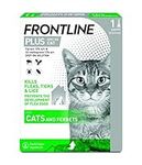 FRONTLINE Plus For Cats And Ferrets For Kittens Above 1 Kg (8 Weeks Age)- 1 Pipette Flea And Tick Treatment For Cats, Flea Treatment Cat, Frontline For Cats, Cat Flea Treatment