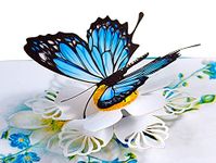 CUTPOPUP Blue Morpho Butterfly Birthday Card For Women, Mothers Day Card Pop Up, Flower Greeting Cards, 3d Birthday Card Pop Up for Grandma, Mom, Mother In Law, Daughter UK