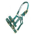 Monty Roberts Dually Headcollar (Extra Small - Green)