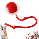 Interactive Dog Ball,Rolling Ball for Cats Dogs,Dog Cat Smart Ball Toy,360° Smart Automatic Rolling Large Small Cats & Dogs Pet Ball (Red)