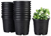 Amazon Brand - Solimo 100% Virgin Plastic Round Nursery Planter Pot | Indoor and Outdoor Flower Pot for Home/Office/Table/Garden/Balcony Decoration | 6 inch (Set of 20)