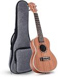 Ranch Left handed Concert Ukulele 23 inch Professional Wooden ukelele Instrument with Padded Gig Bag