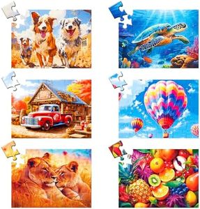 24 Large Piece Puzzle for Seniors 6 Pack Puzzles Dementia Alzheimer's Products and Activities for The Elderly Adults Puzzles Alzheimer's Easy Puzzles Gift Memory Games for Patients, 6 Storage Bag