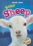 Baby Sheep (Blastoff Readers: Super