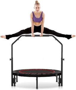 Rebounder 