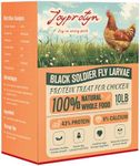 Joyprotyn 10LB Dried Black Soldier Fly Larvae for Chicken– 85X More Calcium Grubs Than Mealworms for Strong Eggshells & Healthy Growth - High Proteinfor Chickens, Birds, Ducks, Geese & Pets