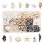 GraceAngie 1 Box 400pcs Small Tiny Sea Shells Mixed 0.7"-1.2" Beach Natural Seashell for DIY Jewelry Making, Home Decorations, Beach Theme Party, Fish Tank and Vase Fillers, 12 Styles