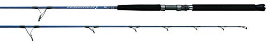 Daiwa HRX58HS Harrier-X Jigging Series, Sections= 1, Line Wt.= 65-120, Lure Weight= 100-250G