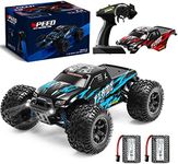 AUSLEE RC Cars 1:16 Scale Remote Co