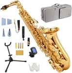 STRICH Bb Tenor Saxophone Brass Student Beginner Tenor Sax Kit with Hard Case Stand Neck Strap Mouthpiece and Reeds for School Band Home Practice, SSA-21G, Gold