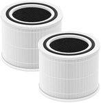 Core 300 Replacement Filter for LEV