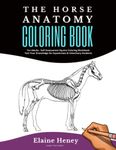 Horse Anatomy Coloring Book For Adults - Self Assessment Equine Coloring Workbook: Test Your Knowledge - For Equestrians & Veterinary Students