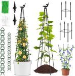 PLANTOP 2 Pack Garden Obelisk Trell