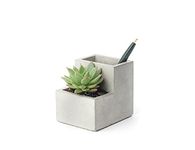 Kikkerland Concrete Desktop Planter, Small (PL02-S)