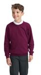 Boys Girls Unisex School Crew Neck Jumper Round Neck Fleece Sweatshirt Uniform Ages 3-16 Years Maroon