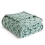 Bedsure Fleece Throw Blanket for Sofa - Soft Checkered Single Blankets for Women, Fluffy Cosy Warm Blanket for Bed, Light Green, 130x170 cm