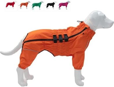 Dogs Water