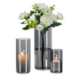 Glasseam Glass Cylinder Vase Grey: 3Pcs Modern Flower Vases for Living Room Dining Table Centrepiece - Decorative Hurricane Candle Holders Pampas Grass Tulip Vase for Flowers (10/15/20cm)