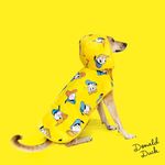 Disney X That Dog In Tuxedo Dog Raincoat -Double Layered/Water Resistant/Easy to wear (Donald Duck, 24)