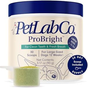 PetLab Co. ProBright Dental Powder - Dog Breath Freshener - Teeth Cleaning Made Easy – Targets Tartar & Bad Breath - Formulated for Large Dogs