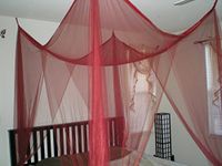 4 Post Bed Canopy Netting Functional Mosquito Net Full Queen King (Burgundy)