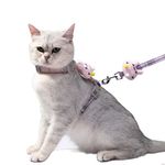 Qpets® Cat Harness with Leash, Outdoor Cat Leash with Harness with Quick Release Buckle Adjustable for Small Medium Cats, Lightweight Soft Walking Travel Petsafe Harness(S,Chest 25-41CM,Neck 20-30CM)