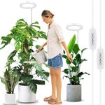 LORDEM 10" Grow Light for Indoor Plants, Full Spectrum Plant Lamp with160 LEDs, 4H/8H/12 Timer, 10 Dimmable Levels, 3 Spectrum Modes, Height Adjustable 61", Ideal for Growing Large Tall Plants, 2 Pack