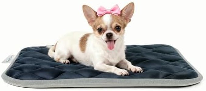 furrybaby Dog Bed Mat Crate Mat with Anti-Slip Bottom Machine Washable Pet Mattress for Dog Sleeping (S 24x18'', Sliver Grey Mat)