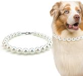 KUDES Chunky Pearl Dog Necklace (Be