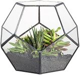 NCYP Small Glass Geometric Terrariu