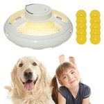 Flea Traps for Home, Flea Lamp with 10 Sticky Discs Natural Insect Traps Non-toxic for Flea Flies Mosquitoes Bedbugs Flying Insects, Flea Treatment for House, USB Lamp Warm and Purple Light Modes