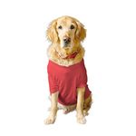 Ruse Basic Summer Dog T-Shirt Solid Pets Crew Neck Half Sleeves Shirt/Apparel/Clothes/Tees Gift for Dogs(Poppy Red) /X-Large (Full Grown Retrievers, Labs etc.)