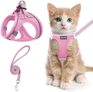 SALFSE Cat Harness and Leash for Walking Escape Proof, Adjustable Kitten Vest Harness Reflective Soft Mesh Puppy Harness for Outdoor, Comfort Fit, Easy to Control (NPink, XXS)