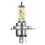 Osram H4 All Season Rallye 62204ALL for Car Halogen Headlight Bulb (12V, 100/90W, Yellow)