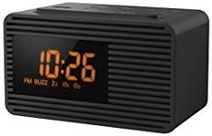 Panasonic Portable Dual Alarm Clock