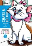 Chats et félins