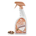 Carpet Beetle Killer Spray | 650ml | Complete Infestation Treatment To End Life Cycle of Beetles, Larvae & Eggs