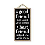 Honey Dew Gifts Friend Sign, Stories a Best Friend Helped 5 inch by 10 inch Hanging Wall Art, Decorative Wood Sign Home Decor, 75645