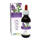 Alfalfa or Lucerne (Medicago Sativa) herb with Flowers Alcohol-Free Mother Tincture Naturalma - Rich in Natural Chlorophyll - Liquid Extract Drops 120 ml - Food Supplement - Vegan