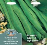 Mr Fothergill's 20102 Vegetable Seeds, Runner Bean Mergoles