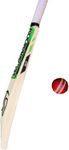 Willow Maste Raider Jos Buttler English Willow Cricket Bat for 15+ Yrs (1 kg)