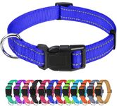 TagMe Reflective Nylon Dog Collars, Adjustable Classic Dog Collar with Quick Release Buckle for Small Dogs, Royal Blue, 2.0 cm Width